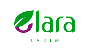 Akıllı Sera ve Tarım Teknolojileri
